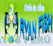 RYAN FISH FILETE DE ATUN