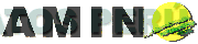 AMINO