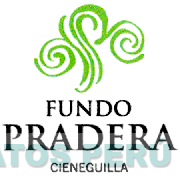 FUNDO PRADERA CIENEGUILLA