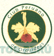 CLUB PERUANO DE ORQUIDEAS