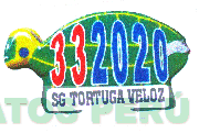 SG TORTUGA VELOZ 332020