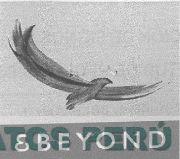 E BEYOND
