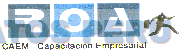 ROA CAEM - CAPACITACION EMPRESARIAL