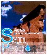 AGUA SAN PEDRO MINERAL DE MANANTIAL