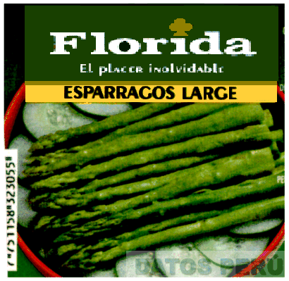 FLORIDA EL PLACER INOLVIDABLE ESPARRAGOS LARGE