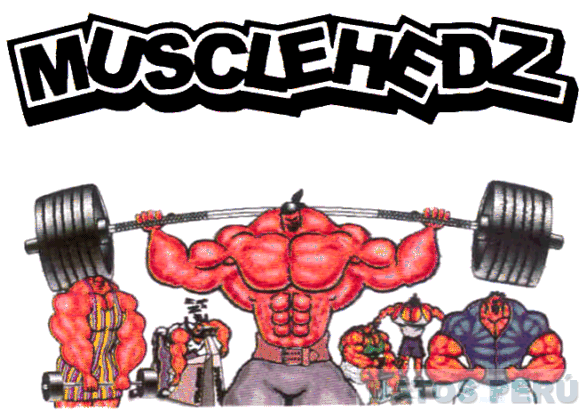MUSCLEHEDZ