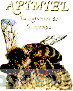 APIMIEL LA AUTENTICA DE OXAPAMPA