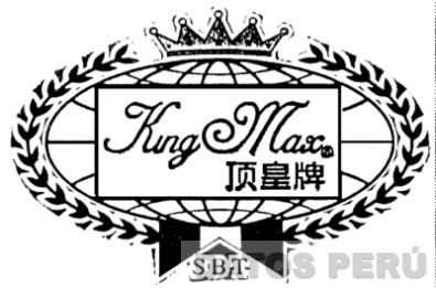 KING MAX