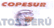COPESUR