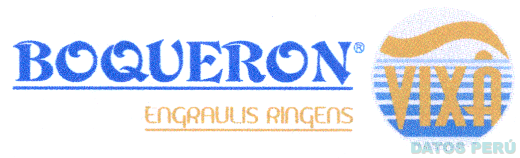 BOQUERON VIXA ENGRAULIS RINGENS