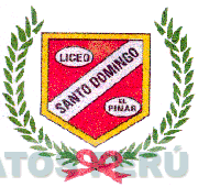 LICEO SANTO DOMINGO EL PINAR