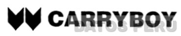 CARRYBOY