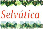 SELVATICA