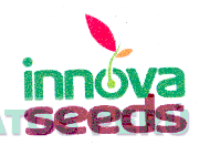INNOVA SEEDS