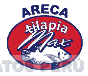 ARECA TILAPIA MAX