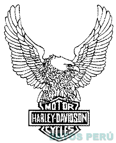 HARLEY-DAVIDSON MOTOR CYCLES