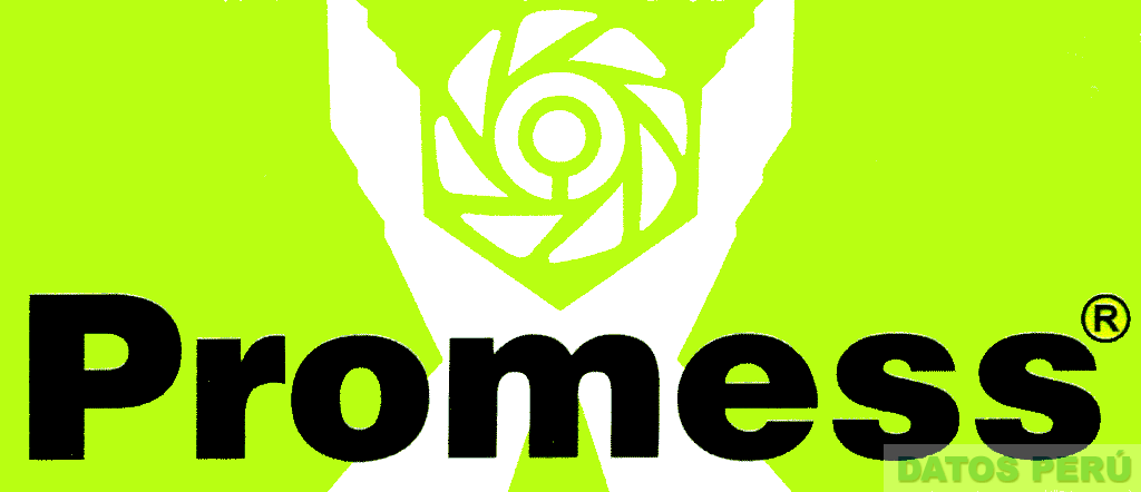 PROMESS