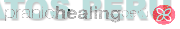 PRANICHEALINGPERÚ