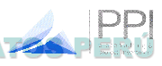 PPI PROCONSULTING & PROJECT INVESTMENT