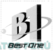B1 BEST ONE