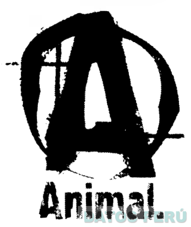 A ANIMAL