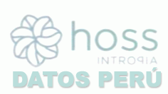 HOSS INTROPIA