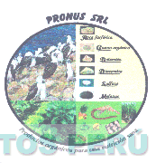 PRONUS S.R.L. PRODUCTOS ORGÁNICOS PARA UNA NUTRICIÓN SANA