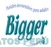 BIGGER BTL PAÑALES DESCARTABLES PARA ADULTOS