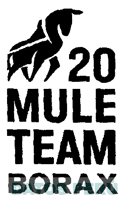 20 MULE TEAM BORAX