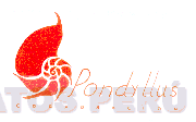 PONDYLLUS CORPORACION