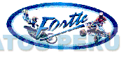 FORTTE
