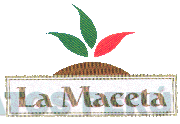 LA MACETA