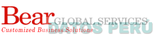 BEAR GLOBAL SERVICES CUSTOMIZED BUSINESS SOLUTIONS