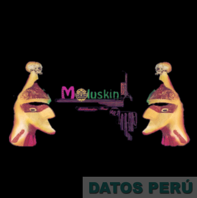 MOLUSKIN DISCOTECA TURISTICA DEL CAMPO ANDAHUAYLAS PERU