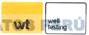 WT WELL TESTING