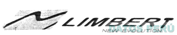 N LIMBERT NEW EVOLUTION