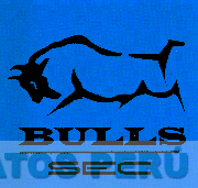 BULLS SEC
