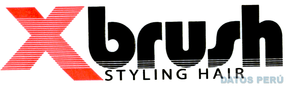 X BRUSH STYLING HAIR