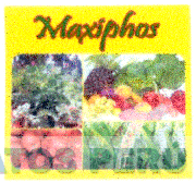 MAXIPHOS