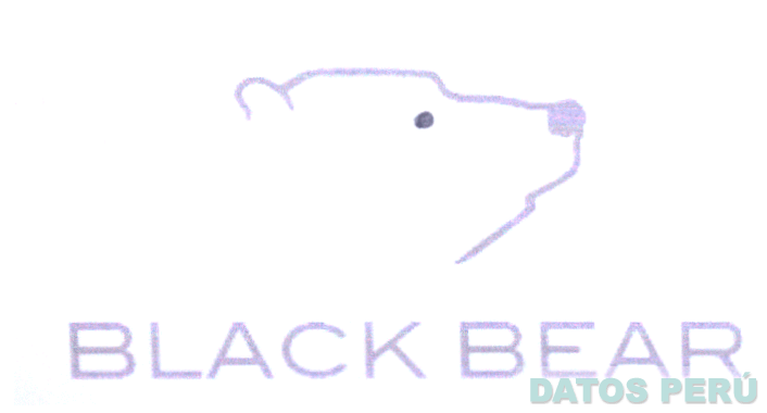 BLACK BEAR