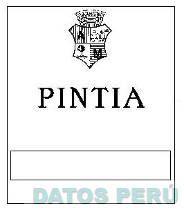PINTIA