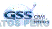 GSS CRM SERVICES