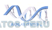 MAMLAB CENTER S.A.C.