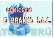 CONSORCIO D BRAKKO S.A.C.