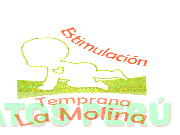 ESTIMULACION TEMPRANA LA MOLINA