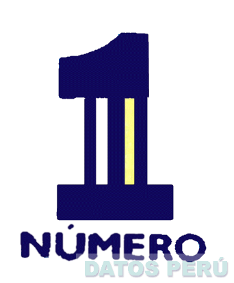 NÚMERO 1