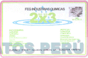 FEG INDUSTRIAS QUIMICAS EN UN 2X3