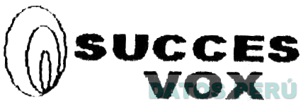 SUCCES VOX