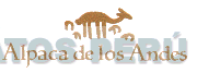 ALPACA DE LOS ANDES