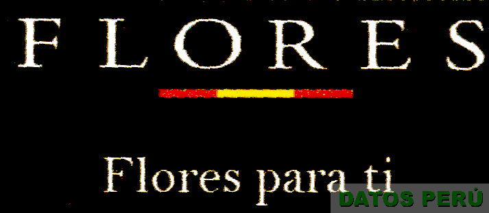 FLORES FLORES PARA TI